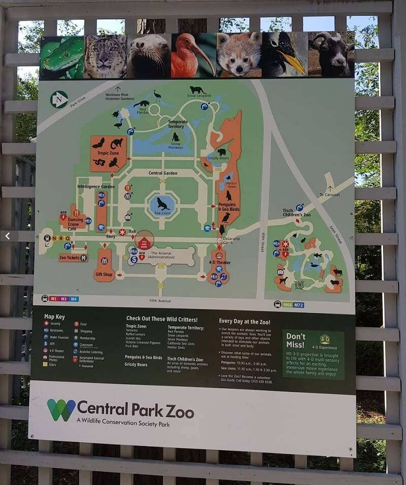 뉴욕 추천 관광지 - 센트럴 파크 동물원은 추천 안함